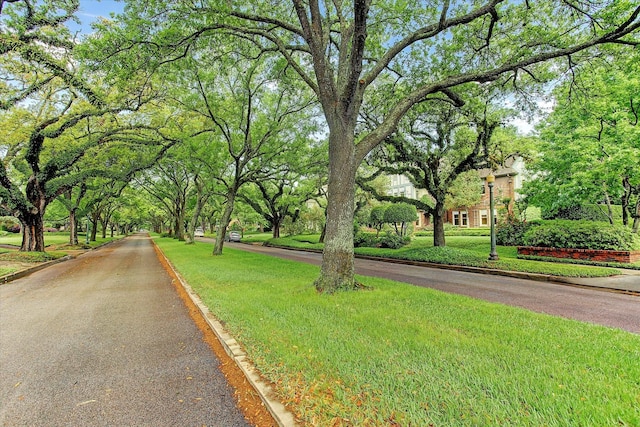 5309 Cherokee St, Houston, TX 77005 - photo 36