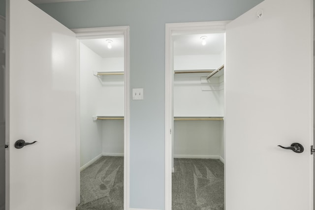 2919 Lake View Dr, Missouri City, TX 77459 - walk in closet with carpet floors