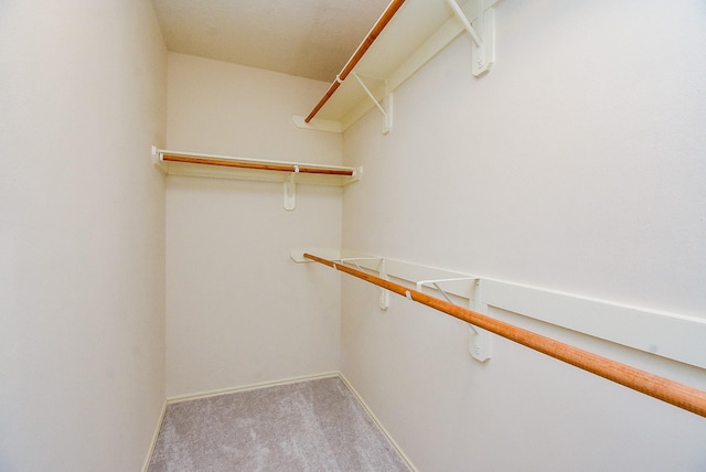 2715 Trinity Glen Ln, Houston, TX 77047 - walk in closet with carpet flooring