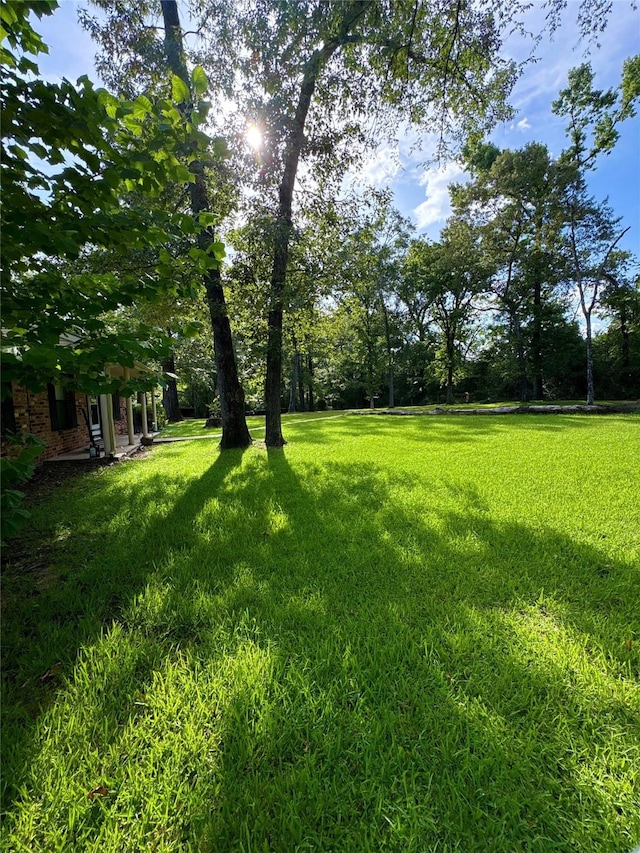 1072 Stephenson Brown Rd, Lufkin, TX 75904 - photo 3