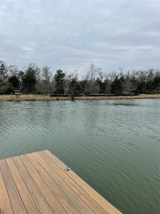 16065 N Tierra Buena N, Plantersville, TX 77363 - photo 7