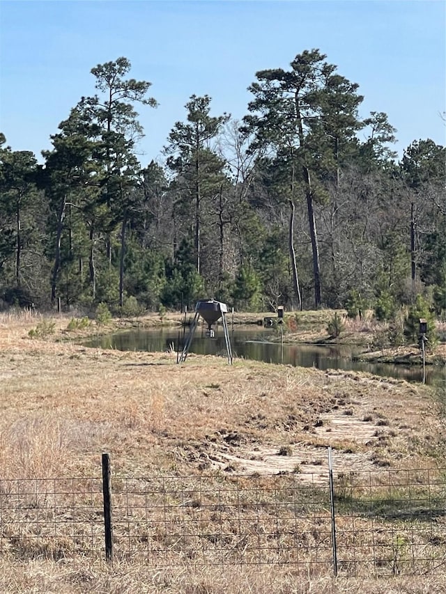 16065 N Tierra Buena N, Plantersville, TX 77363 - photo 21