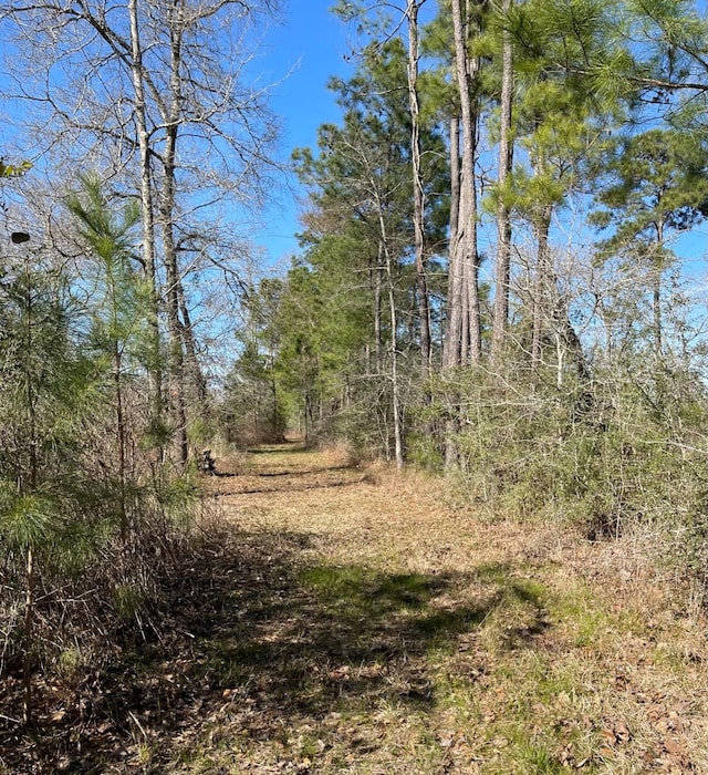 16065 N Tierra Buena N, Plantersville, TX 77363 - photo 25