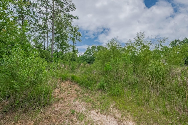 371 County Road 5015, Cleveland, TX 77327 - photo 36