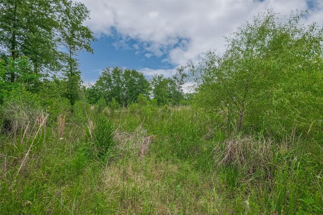 371 County Road 5015, Cleveland, TX 77327 - photo 38