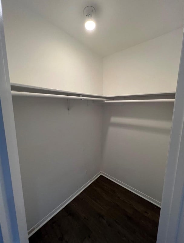 1131 Woohorn Dr, Houston, TX 77062 - photo 23