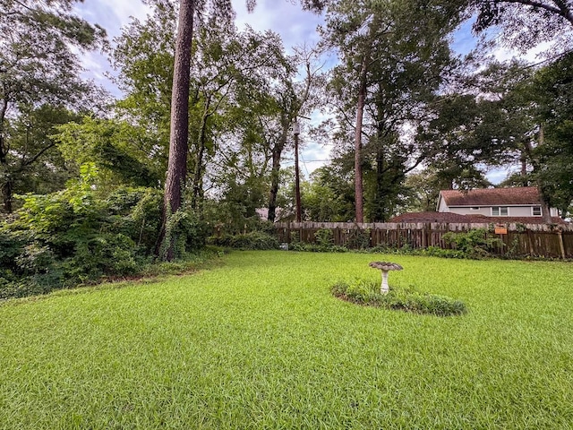 229 Hickory Dr, Huntsville, TX 77340 - photo 27