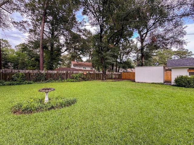 229 Hickory Dr, Huntsville, TX 77340 - photo 28