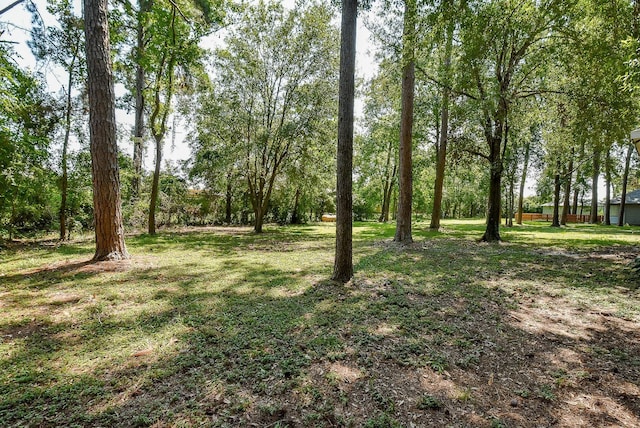 18110 Auburn Dr, Tomball, TX 77375 - view of grassy yard
