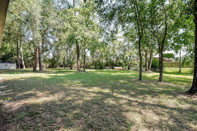 18110 Auburn Dr, Tomball, TX 77375 - view of yard