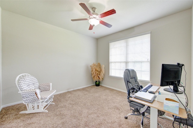 12114 Delwood Terrace Dr, Humble, TX 77346 - photo 12