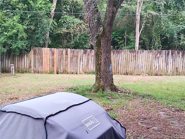 4822 Glendower Dr, Spring, TX 77373 - view of yard