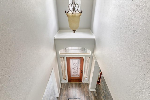 2907 Silverberry Trl, Houston, TX 77345 - photo 23