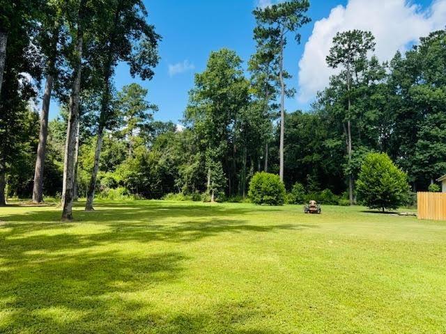 8963 Lonesome Pine Ln, Kountze, TX 77625 - photo 4