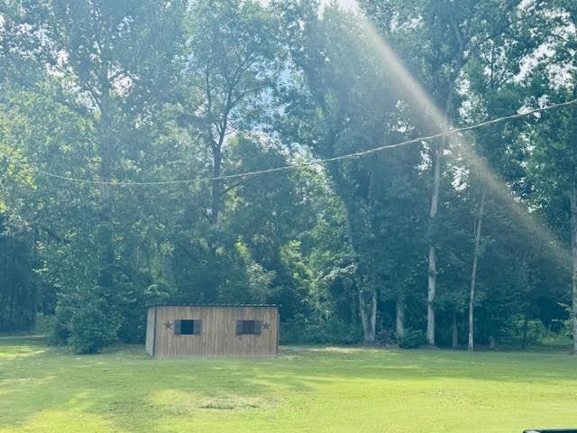 8963 Lonesome Pine Ln, Kountze, TX 77625 - photo 5