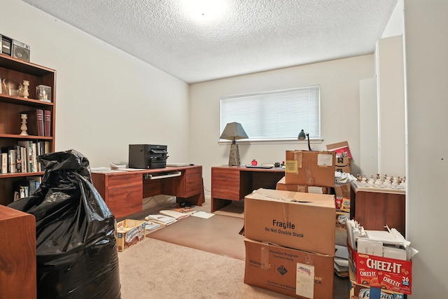 2910 Riata Ln, Houston, TX 77043 - carpeted home office with a textured ceiling