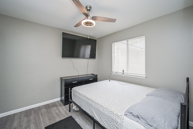 19923 Ricewood Way, Katy, TX 77449 - bedroom with wood finished floors and ceiling fan