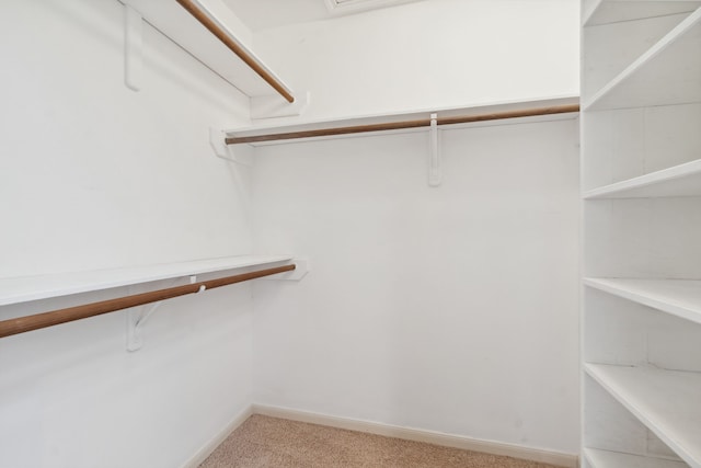 6606 Preston Trail Dr, Houston, TX 77069 - spacious closet with light carpet