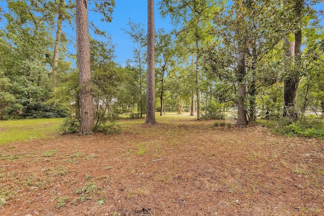 29526 W Hawthorne Dr, Spring, TX 77386 - photo 11