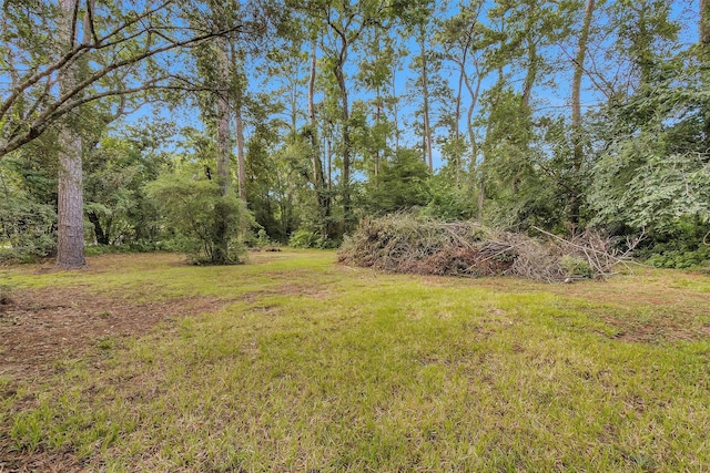 29526 W Hawthorne Dr, Spring, TX 77386 - photo 12