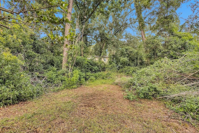 29526 W Hawthorne Dr, Spring, TX 77386 - photo 14