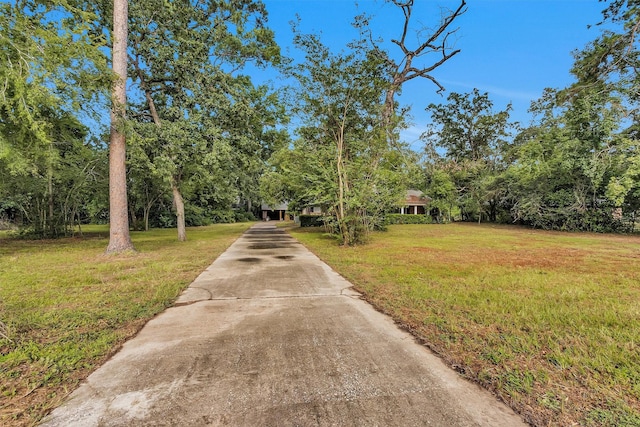 29526 W Hawthorne Dr, Spring, TX 77386 - photo 8