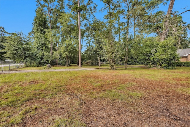 29526 W Hawthorne Dr, Spring, TX 77386 - photo 9