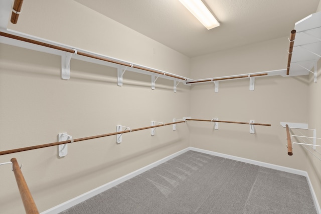 10527 Caddo Lake Dr, Needville, TX 77461 - walk in closet featuring carpet flooring