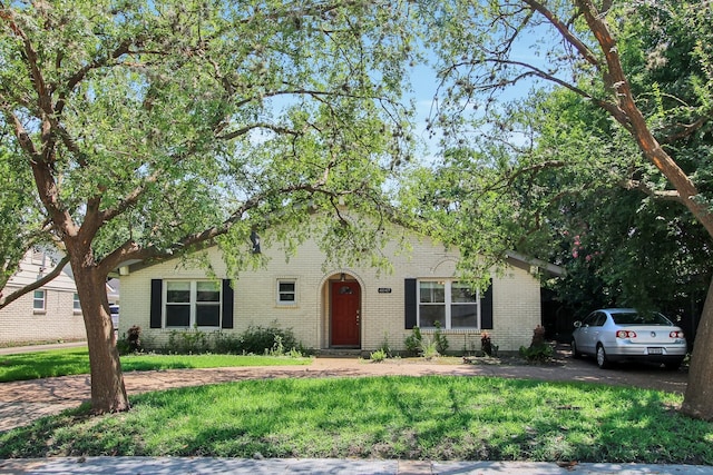 4047 Falkirk Ln, Houston, TX 77025 - view of front facade featuring brick siding and a front yard