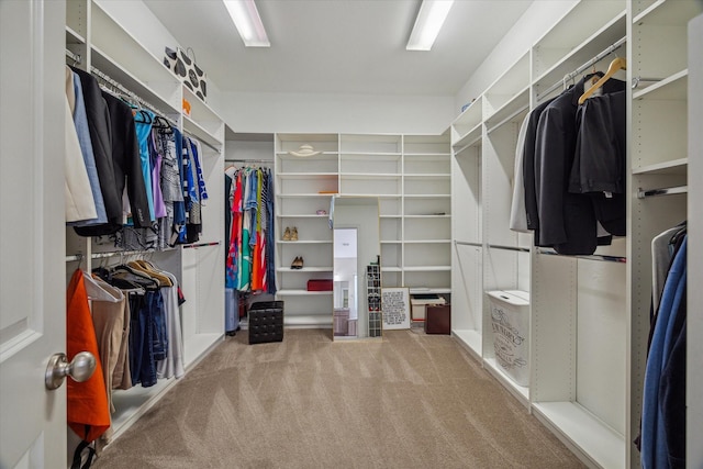 17310 Venado Dr, Cypress, TX 77433 - walk in closet with carpet flooring