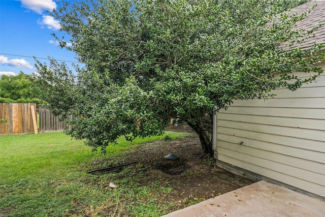 30927 N Head Dr, Spring, TX 77386 - view of yard