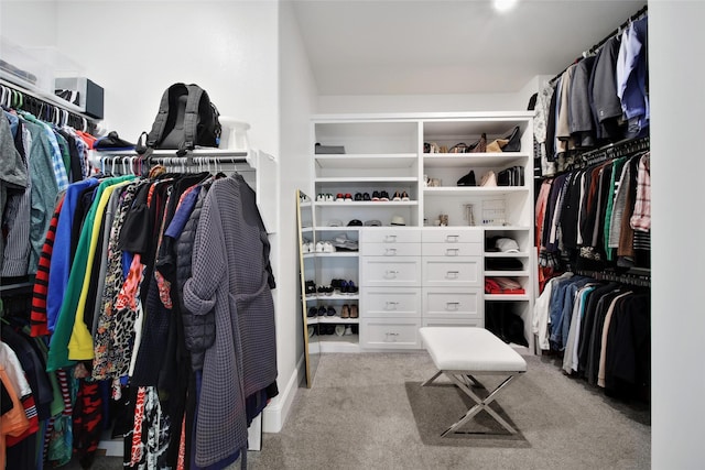 5350 Cherry Spring Dr, Spring, TX 77386 - spacious closet featuring light colored carpet