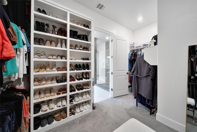 5350 Cherry Spring Dr, Spring, TX 77386 - spacious closet with carpet flooring