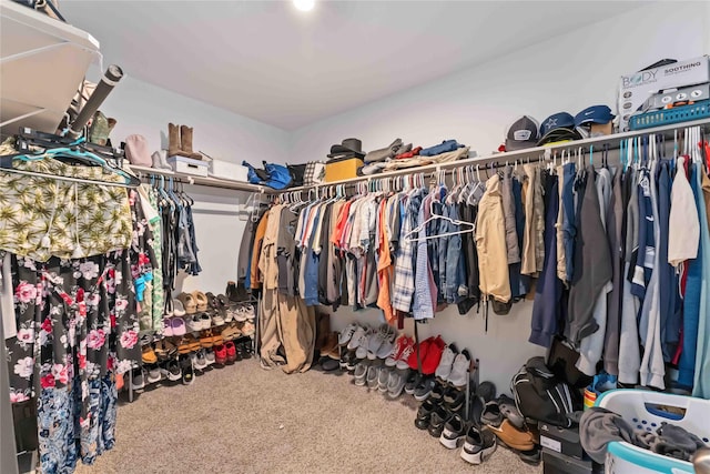 7902 Sleek Flock Ln, Rosharon, TX 77583 - walk in closet with carpet