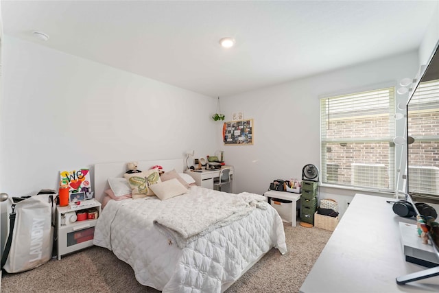 7902 Sleek Flock Ln, Rosharon, TX 77583 - view of carpeted bedroom