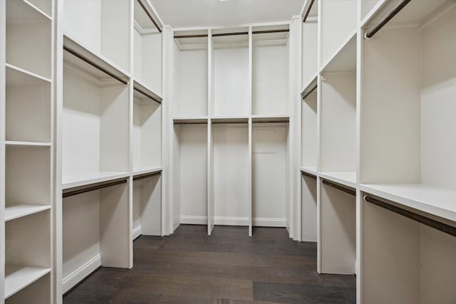 1923 Rice Mill Dr, Katy, TX 77493 - spacious closet with dark wood-type flooring
