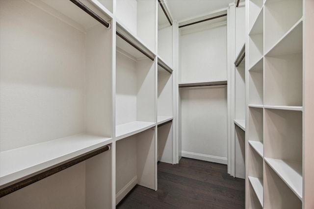 1923 Rice Mill Dr, Katy, TX 77493 - spacious closet with dark wood-style floors