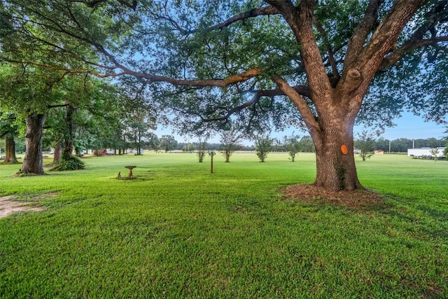 8708 Flowers Loop, Kountze, TX 77625 - photo 25