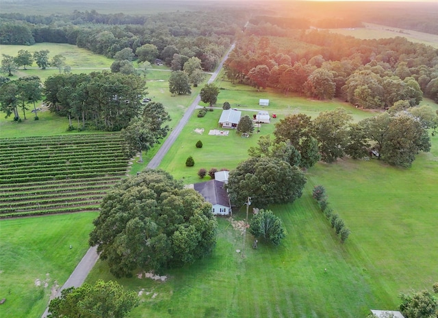 8708 Flowers Loop, Kountze, TX 77625 - photo 29