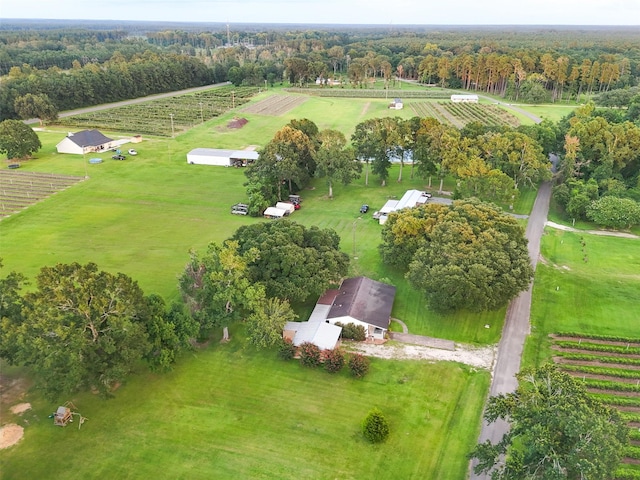8708 Flowers Loop, Kountze, TX 77625 - photo 35