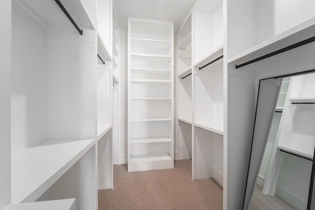 2221 Francis St, Houston, TX 77004 - walk in closet featuring light carpet