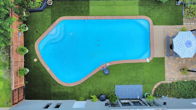 6803 Las Brisas Dr, Houston, TX 77083 - view of pool
