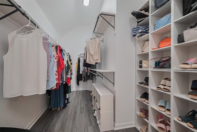 21002 Beech Landing Ln, Katy, TX 77450 - spacious closet featuring dark wood-style flooring and vaulted ceiling