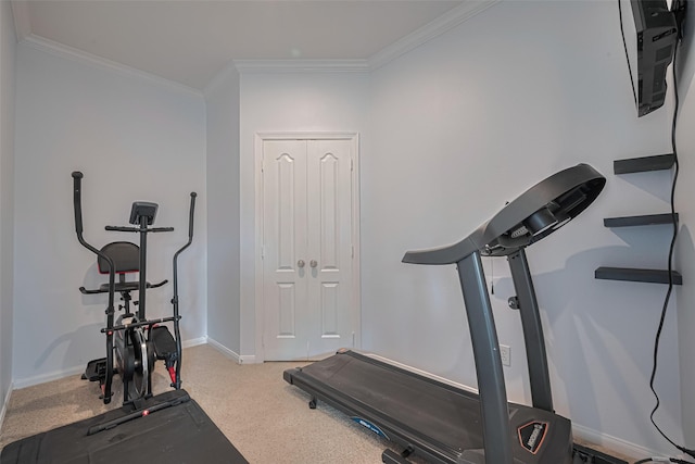 21002 Beech Landing Ln, Katy, TX 77450 - workout room featuring ornamental molding and carpet flooring