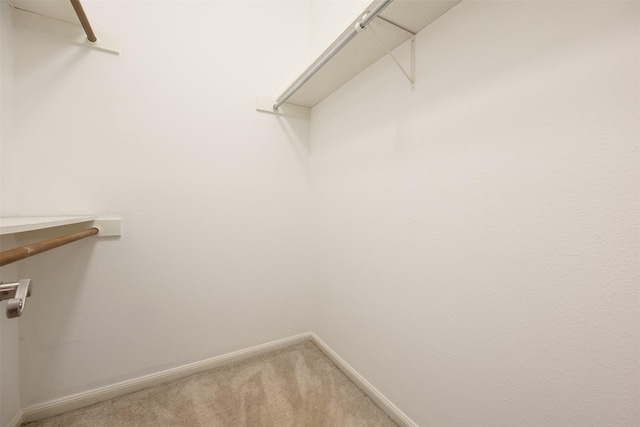 2829 Timmons Ln Unit 101, Houston, TX 77027 - spacious closet featuring light colored carpet