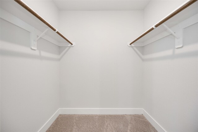 13208 Opera Dr, Houston, TX 77047 - walk in closet with carpet floors