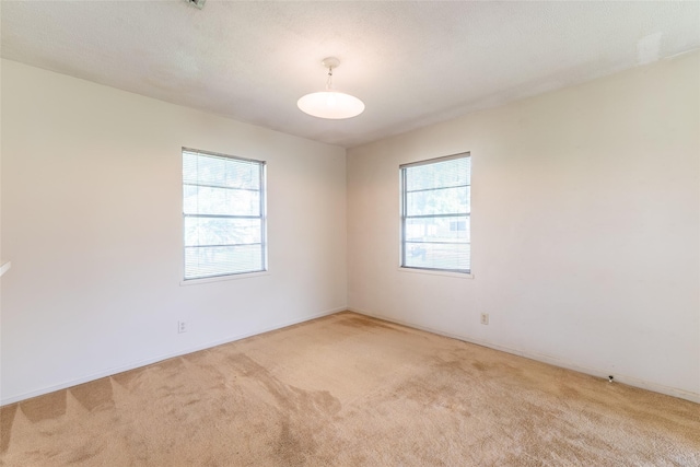 7734 El Rancho St, Houston, TX 77087 - spare room with carpet flooring and healthy amount of natural light