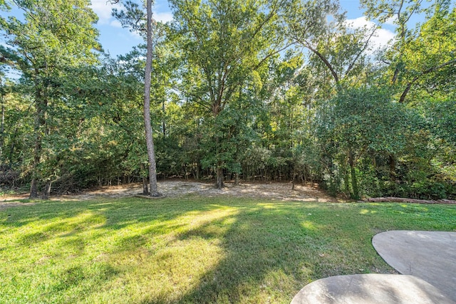 10332 Hunter Creek Ln, Conroe, TX 77304 - view of grassy yard featuring a wooded view