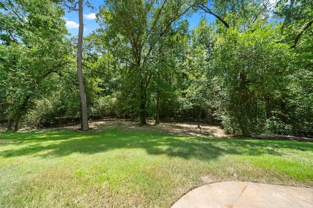 10332 Hunter Creek Ln, Conroe, TX 77304 - view of grassy yard