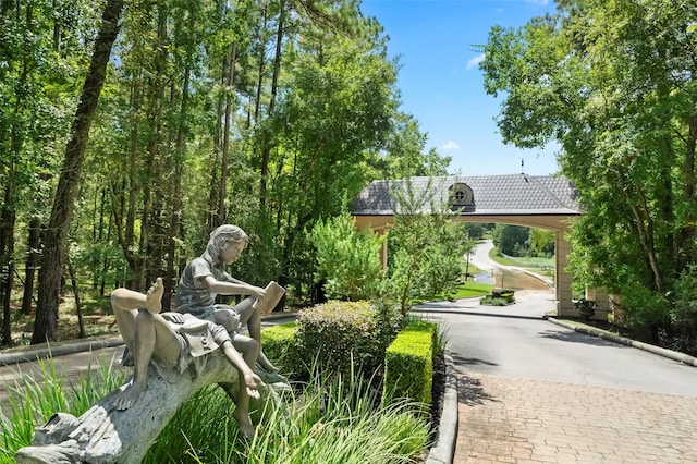 10332 Hunter Creek Ln, Conroe, TX 77304 - view of property's community with asphalt driveway